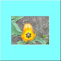 Kenyon Overnight - 049.JPG